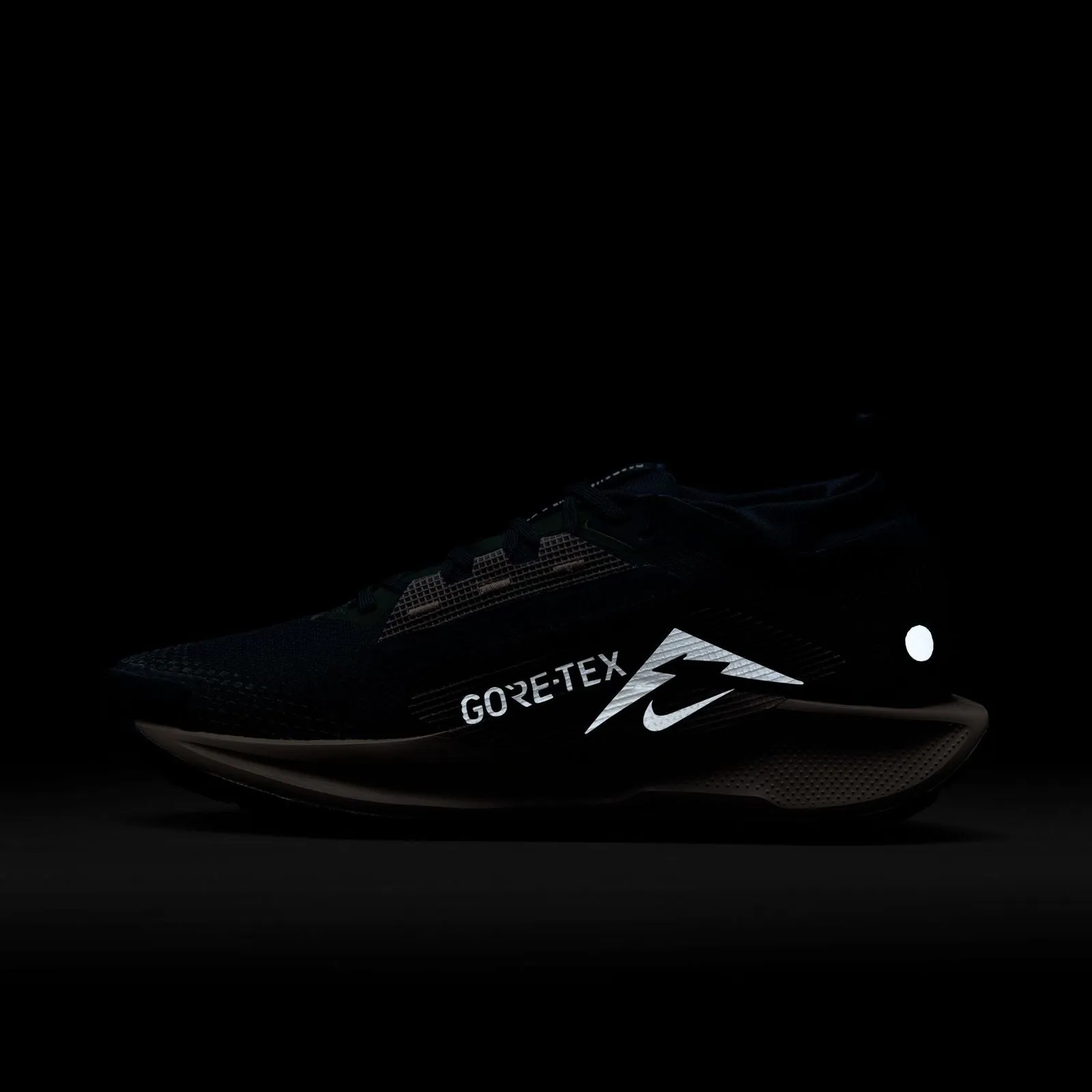Nike Pegasus Trail 5 GORE-TEX Women's Waterproof Trail Running Shoes