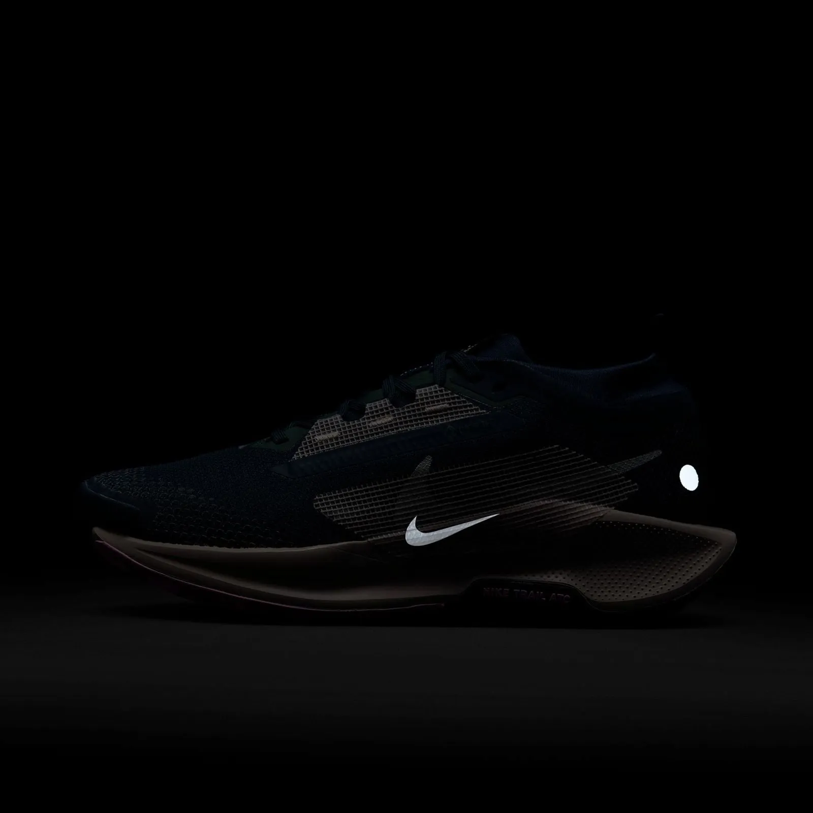Nike Pegasus Trail 5 GORE-TEX Women's Waterproof Trail Running Shoes
