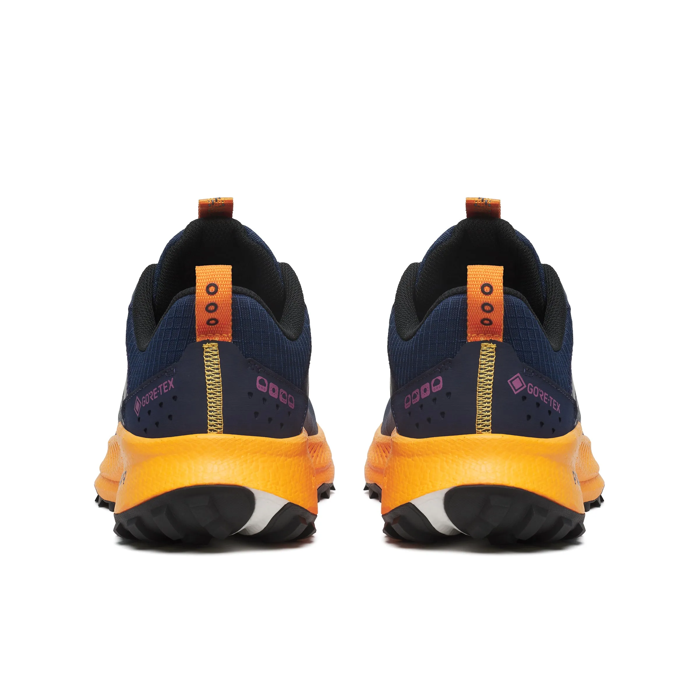 Ride TR2 GTX - Men's
